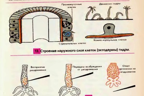 Kra29.cc